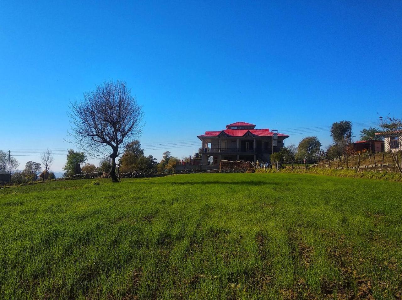 Bir Nest Bir (Himachal Pradesh) Ngoại thất bức ảnh