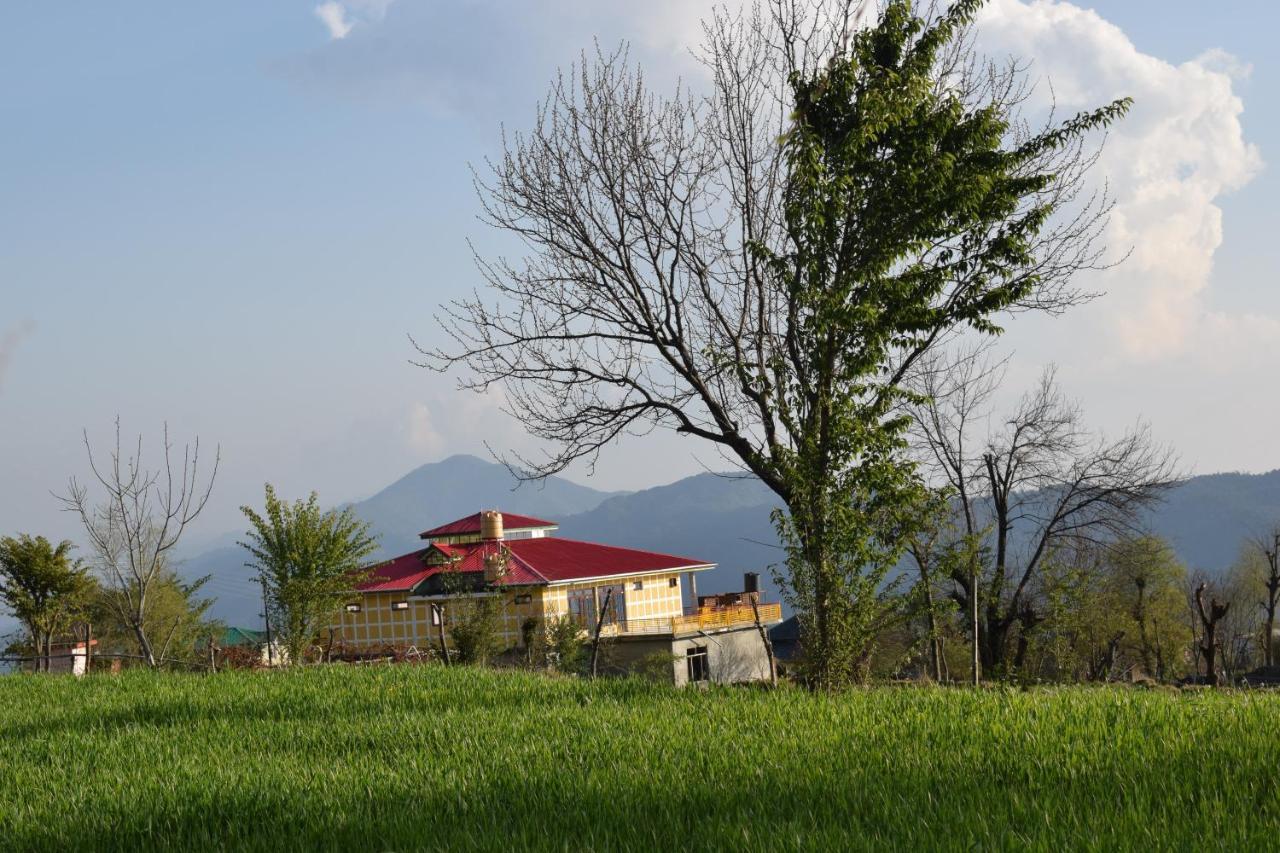 Bir Nest Bir (Himachal Pradesh) Ngoại thất bức ảnh